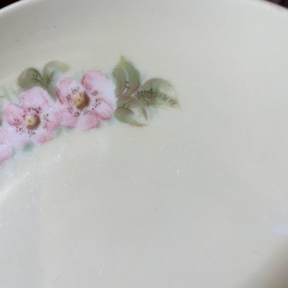 Set of 4 MZ Austria Hand Painted Salad Dessert Plates Daisy Columbine Wild Rose - Picture 8 of 12
